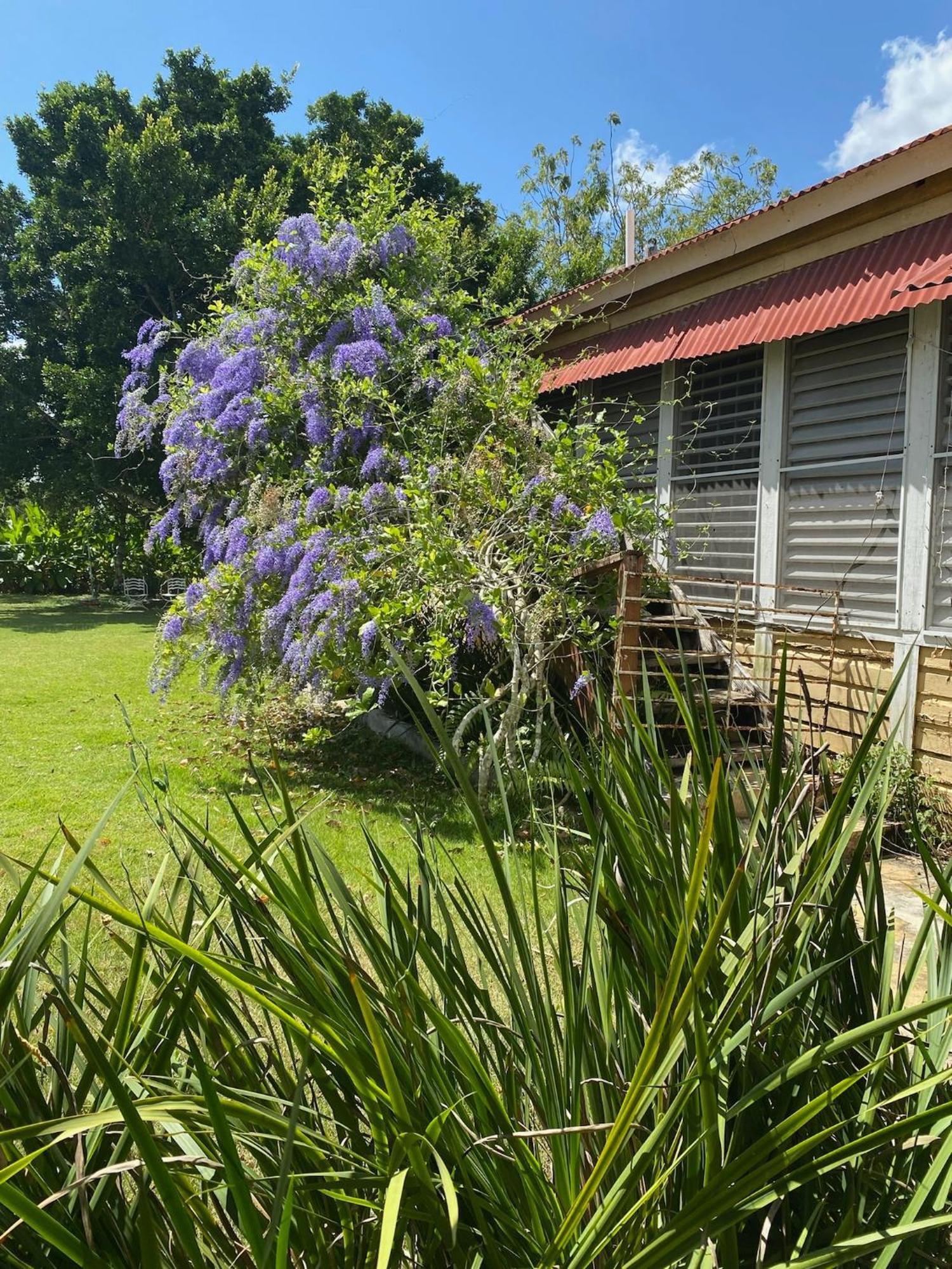 Campito Loving Bed and Breakfast Salvaleón de Higüey Exteriör bild